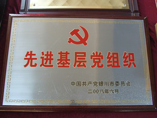 2008年中国共产党银川市委员会先进基层党组织