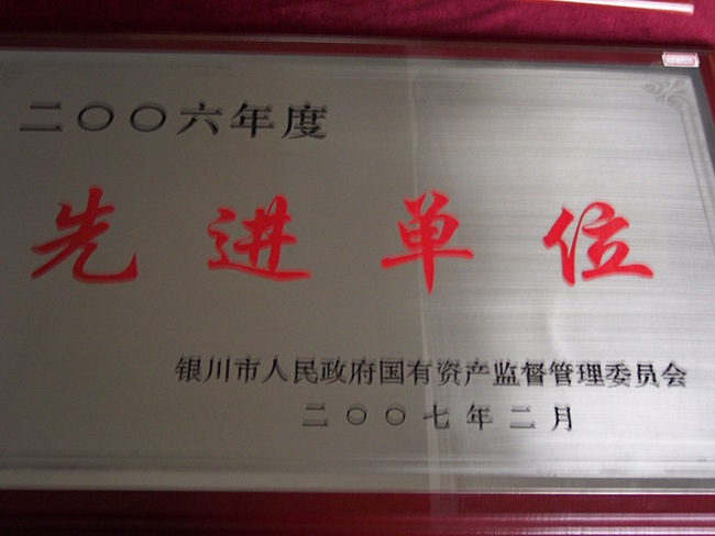 2006年度银川市人民政府国有资产监督管理委员会先进集体